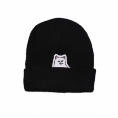 Шапка RIPNDIP